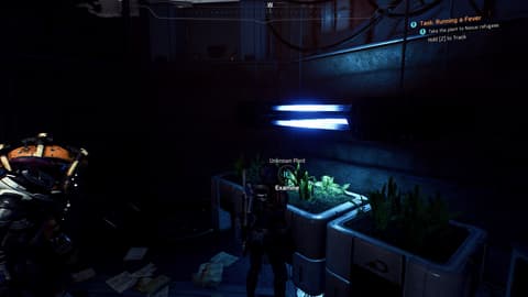 Protagonist examining an unknown plant in a known bugged quest